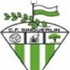 escut singuerlin